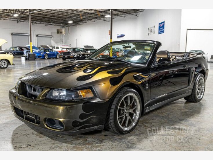 Thumbnail Photo undefined for 2003 Ford Mustang Cobra Convertible